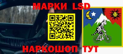 кокс Кингисепп