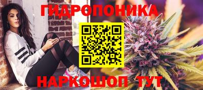 кокс Кингисепп