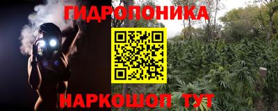 кокс Кингисепп
