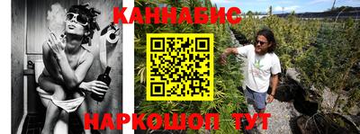 кокс Кингисепп