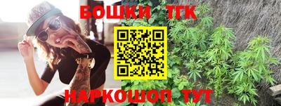 кокс Кингисепп