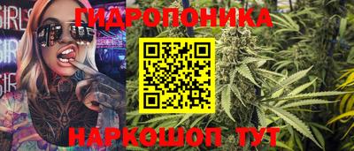 кокс Кингисепп