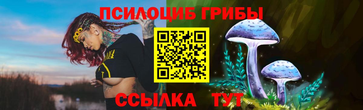 Галлюциногенные грибы мухоморы Когалым